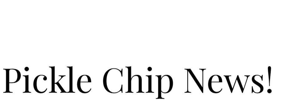 Vlassic pickle chips Vlassic pickle chips